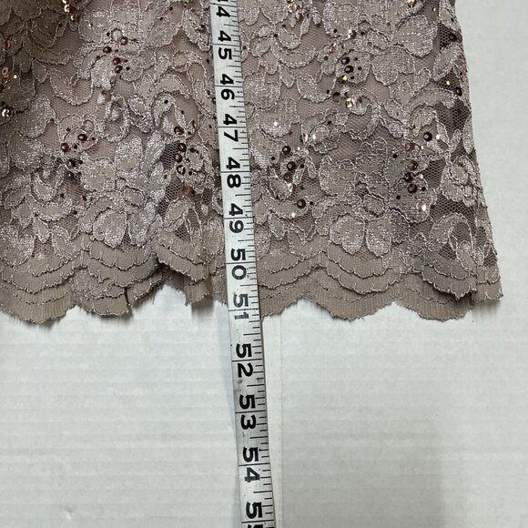 R & M Richards Dress 14 Blush Mauve Lace Sequin Overlay Maxi Gown‎ Fairy Event - Picture 7 of 11